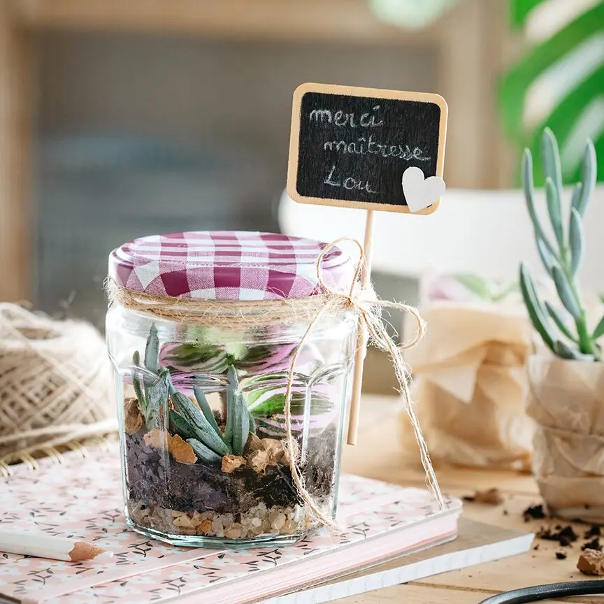 ボンヌママンの空き瓶で作るテラリウム