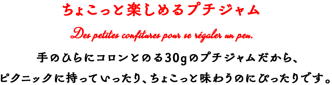 プレゼントにもなるプチジャム